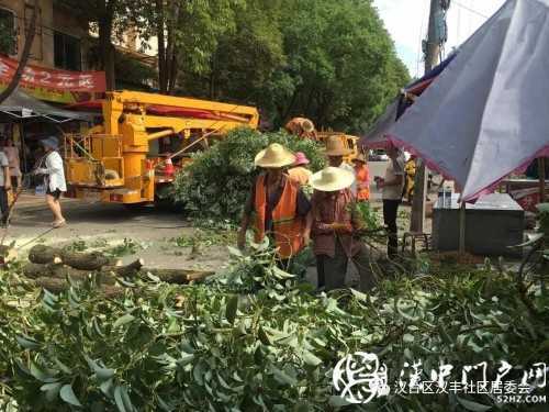 漢中市區一棵10米大樹突然傾倒，刮倒高壓線，所幸無人傷亡