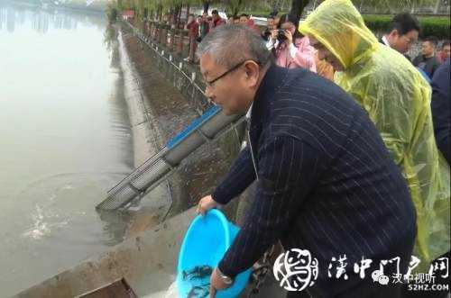 漢臺(tái)區(qū)愛(ài)心放流，40萬(wàn)尾魚寶寶漢江“安家”