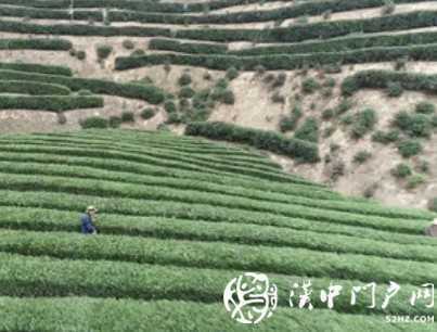 漢中這家企業(yè)，首次躋身百?gòu)?qiáng)榜！