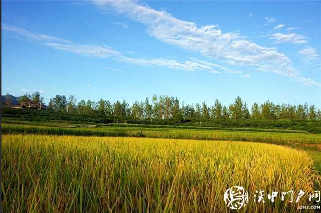 定格美好！想和你一起去找尋漢臺(tái)秋日里的小確幸~