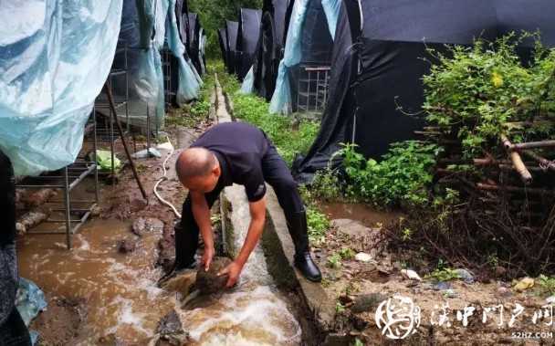 漢中市7個縣區(qū)85個鎮(zhèn)辦受災！市政府緊急下撥救災資金