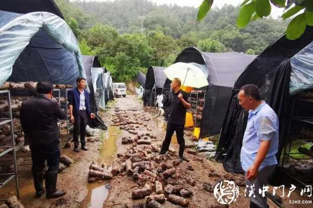 漢中市7個縣區(qū)85個鎮(zhèn)辦受災！市政府緊急下撥救災資金