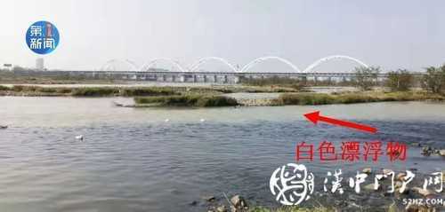 漢江面漂有白色“污染物” ？官方回應！