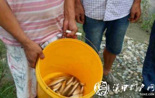 三人在河道非法電魚，被寧強(qiáng)民警抓個正著
