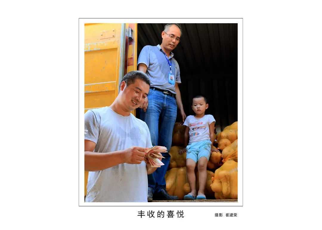 1175戶、34466人脫貧！漢臺(tái)區(qū)做了這些......"