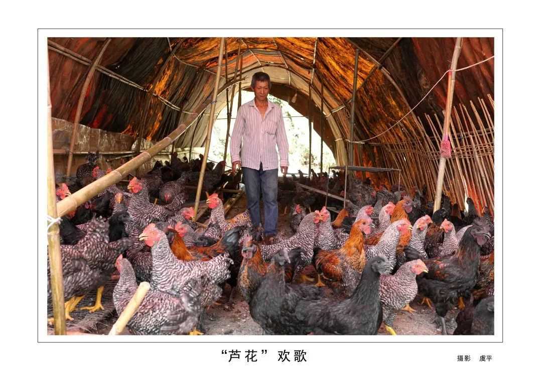1175戶、34466人脫貧！漢臺(tái)區(qū)做了這些......"