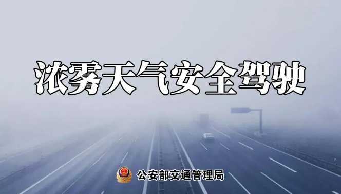 多地有大霧，安全駕駛提示速收好！ | 預(yù)警