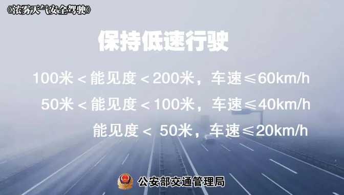 多地有大霧，安全駕駛提示速收好！ | 預(yù)警