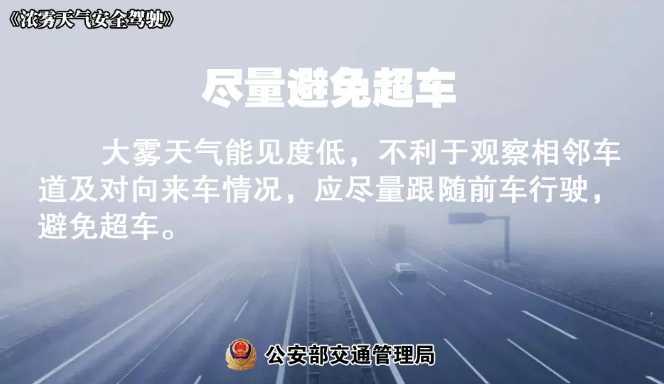 多地有大霧，安全駕駛提示速收好！ | 預(yù)警