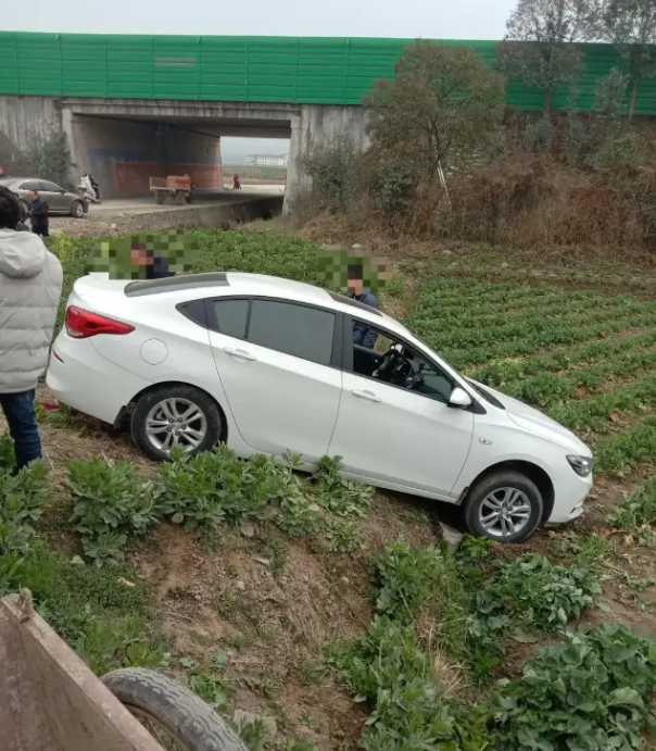 漢中一輛汽車開到油菜田里了！