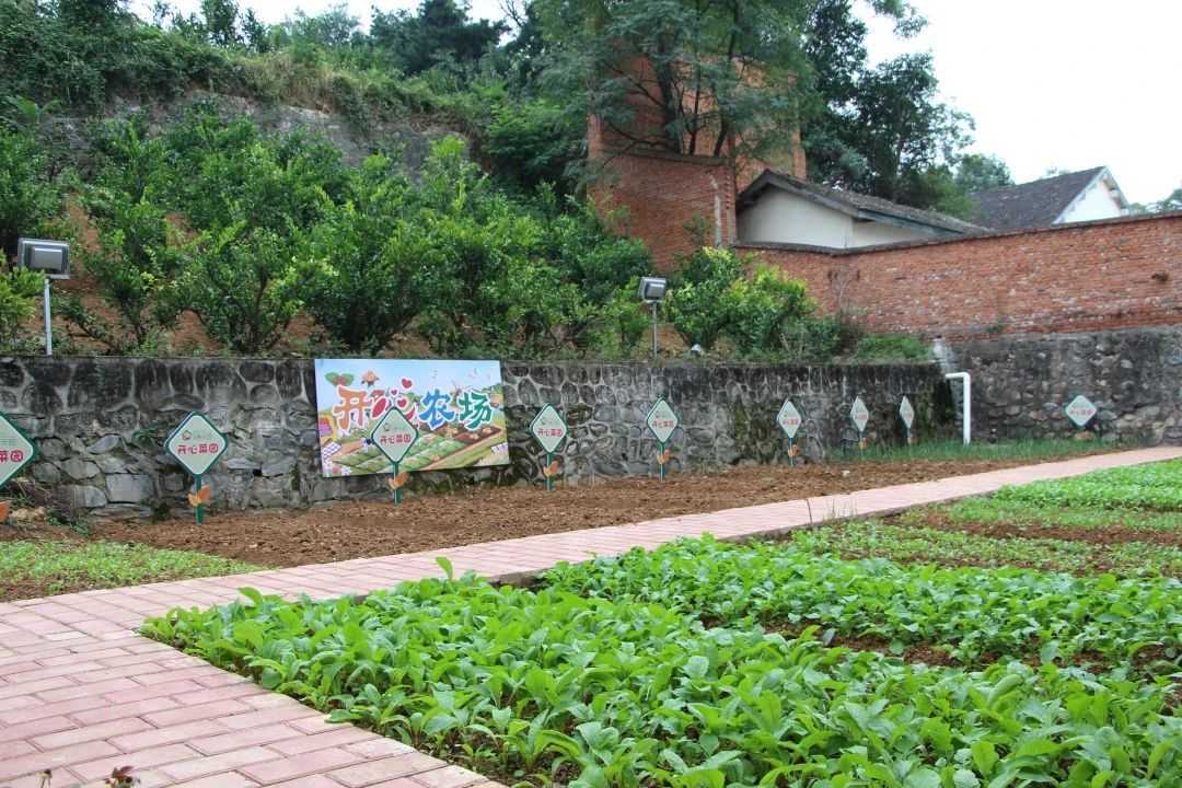 旅居在漢中，我們在行動 ——褒國古鎮旅游推介會圓滿收官