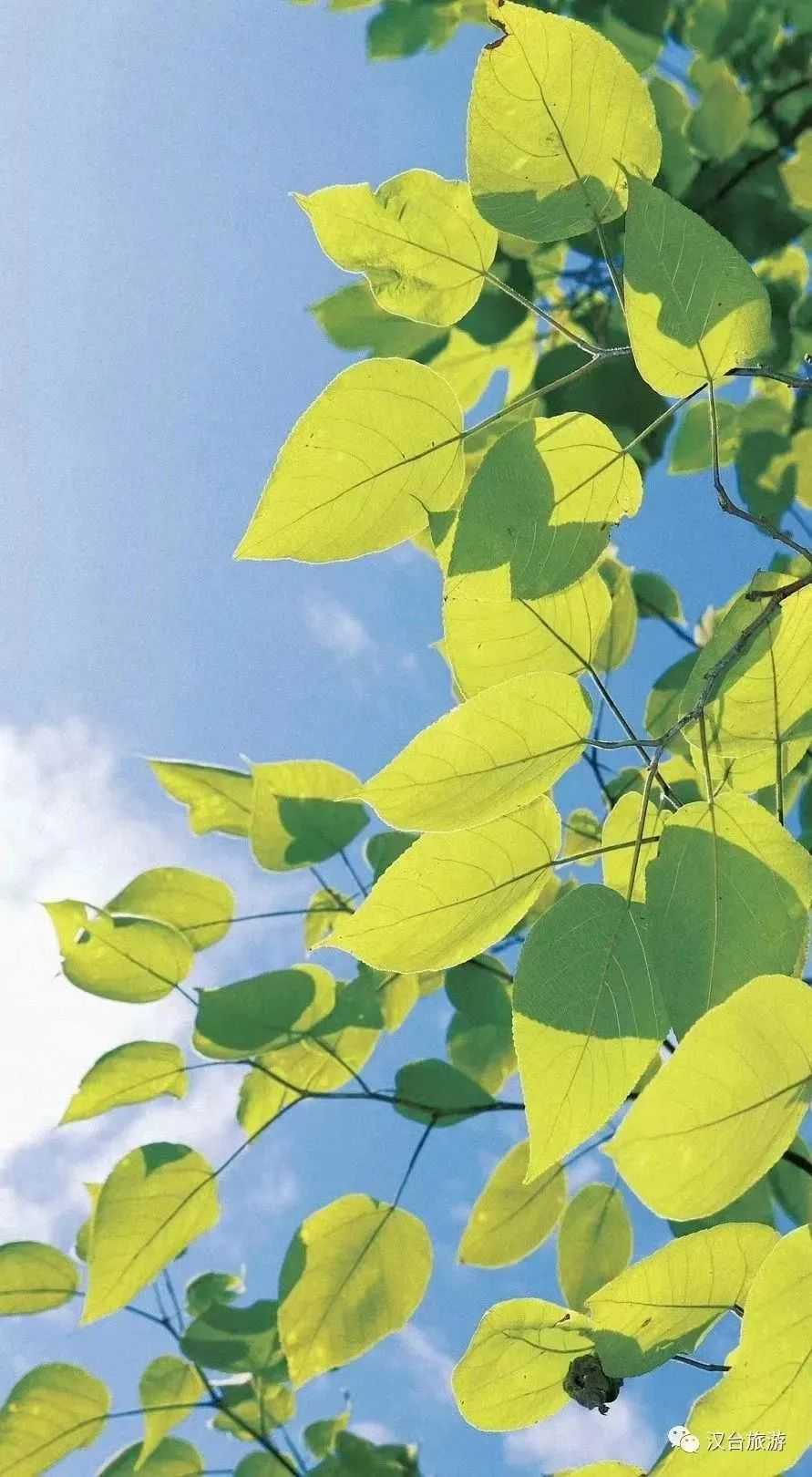 2022漢臺(tái)美景合集，今天帶你一次看完！