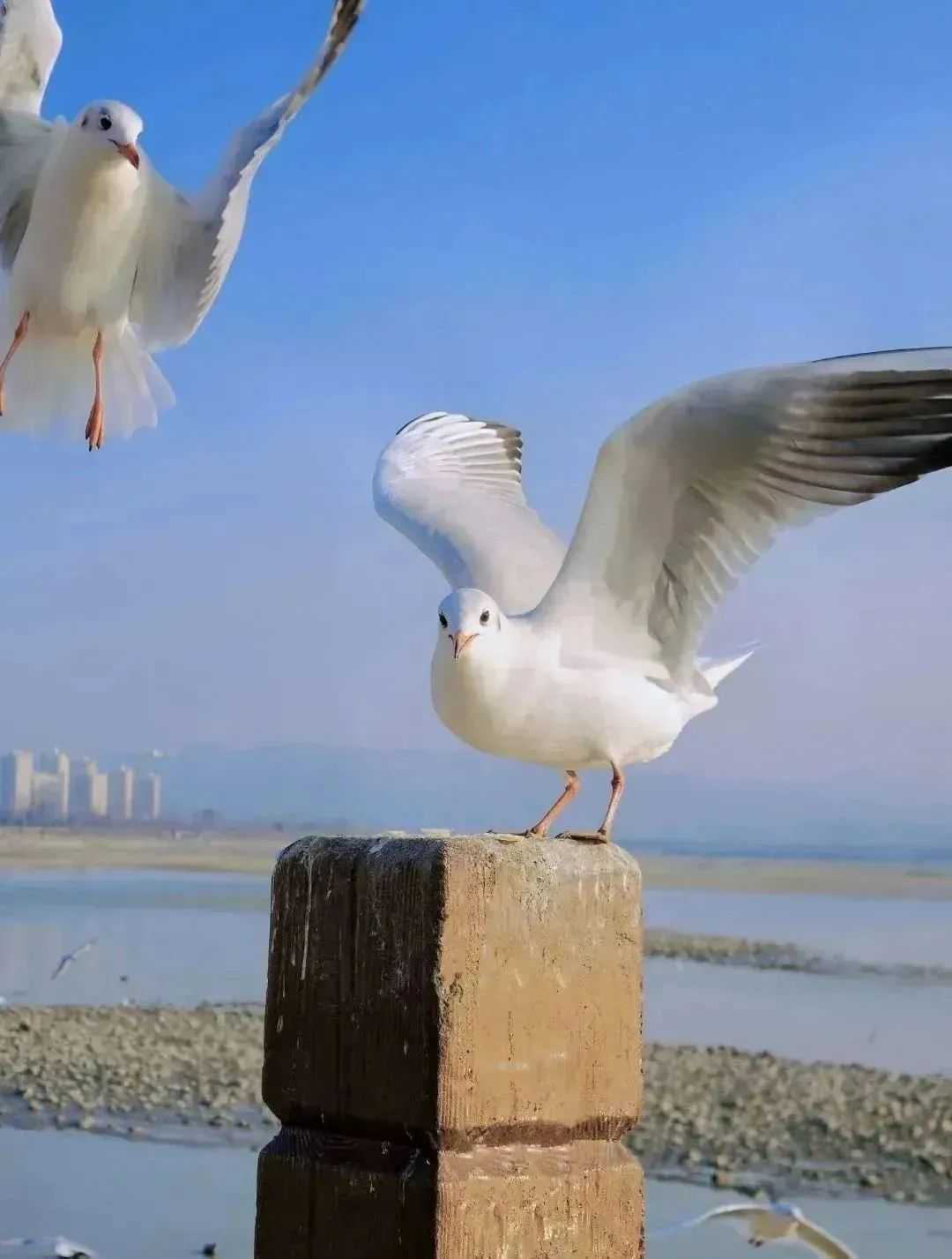 漢中美圖大片！煙火起 照人間，喜悅無邊 執手憶此年。