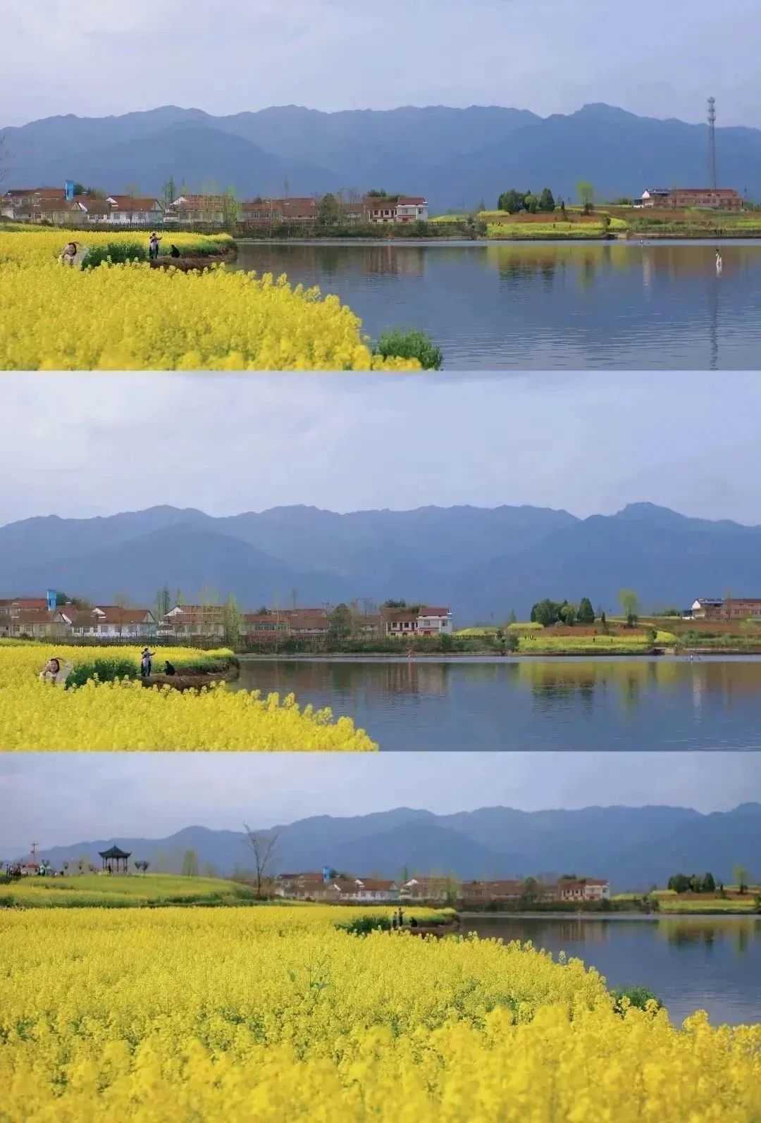 漢中美圖大片！煙火起 照人間，喜悅無邊 執手憶此年。