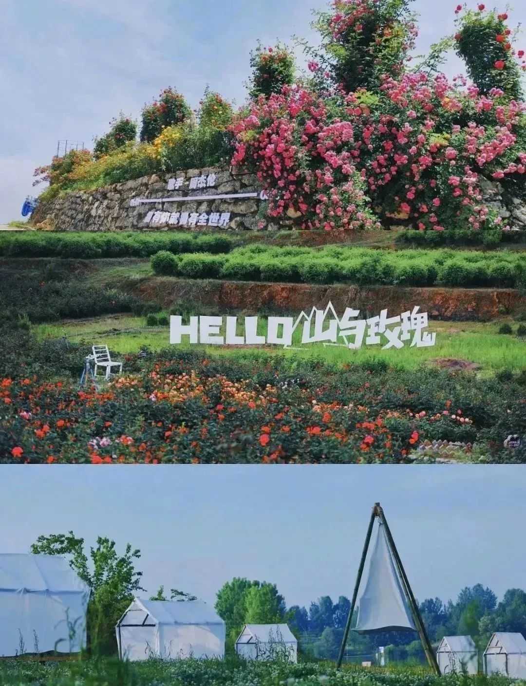 漢中美圖大片！煙火起 照人間，喜悅無邊 執手憶此年。