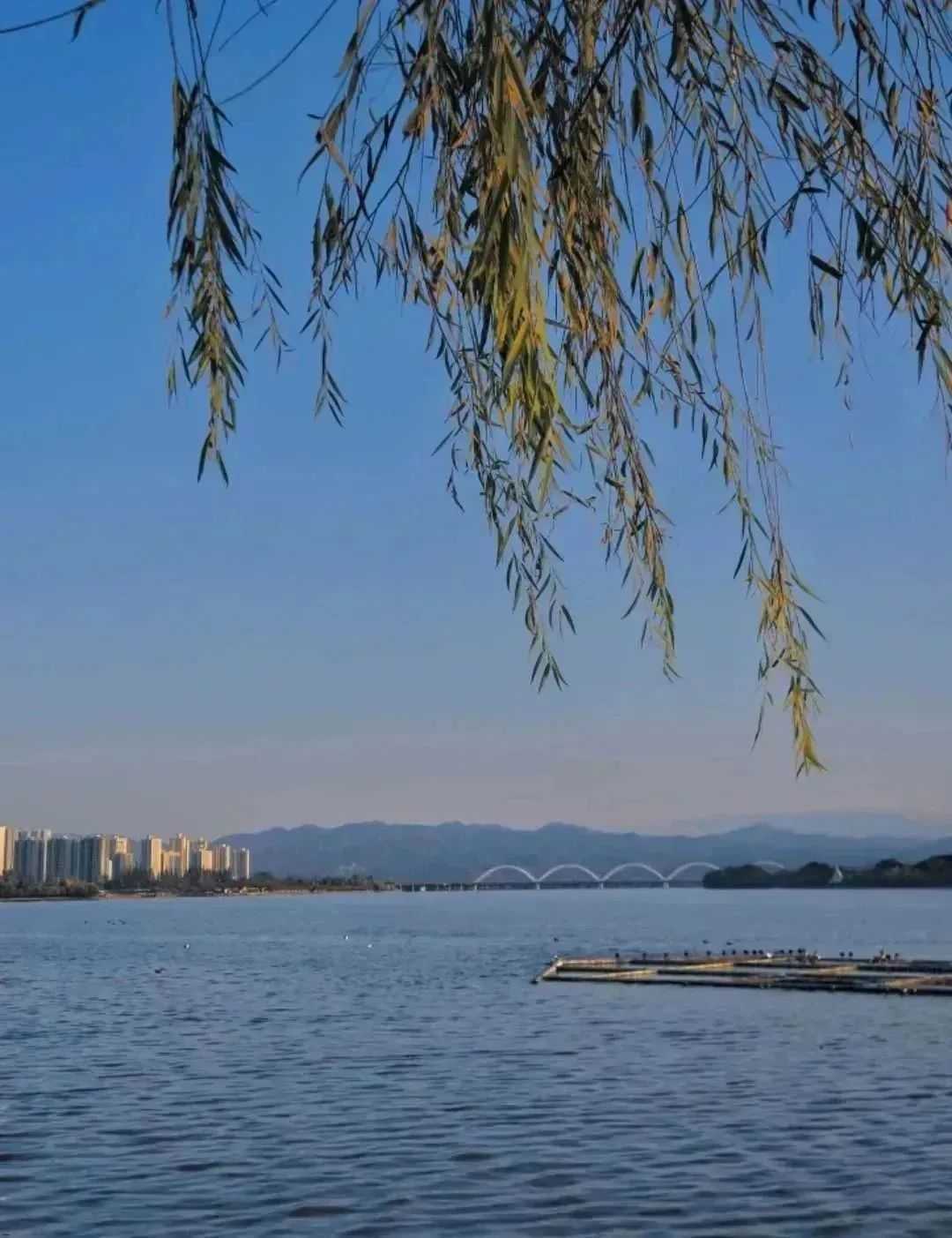 漢中美圖大片！煙火起 照人間，喜悅無邊 執手憶此年。
