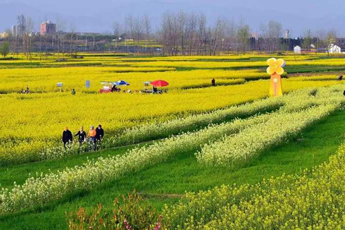 2023中國(guó)最美油菜花海漢中旅游文化節(jié)城固分會(huì)場(chǎng)暨迷你馬拉松賽正式啟動(dòng)