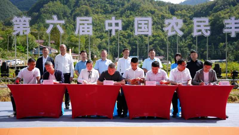 慶豐收，促和美|略陽縣第六屆中國農民豐收節開幕