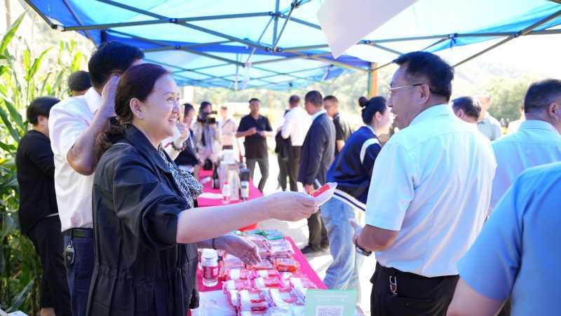 慶豐收，促和美 | 略陽縣第六屆中國農民豐收節開幕