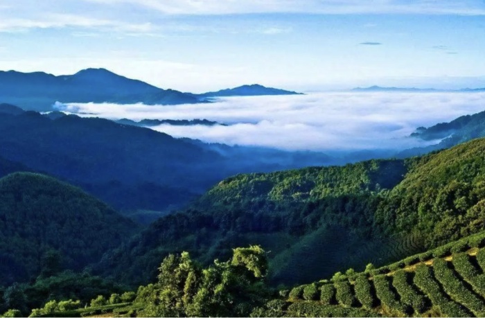 詩意鎮(zhèn)巴！這條醉美旅游線路私藏了萬千田園風光！