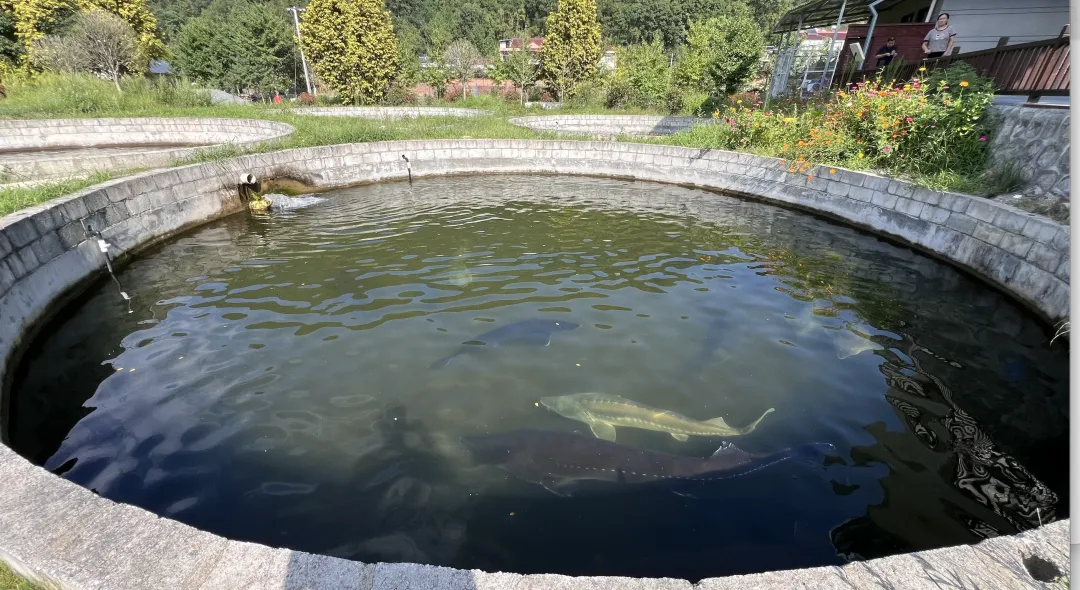 垂釣、逛展、追音樂… 陳家壩稻田音樂季，承包你的周末快樂！