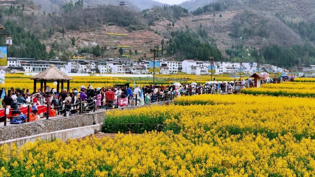 鎮巴春日盛宴旅游攻略，讓這個春天不留遺憾！