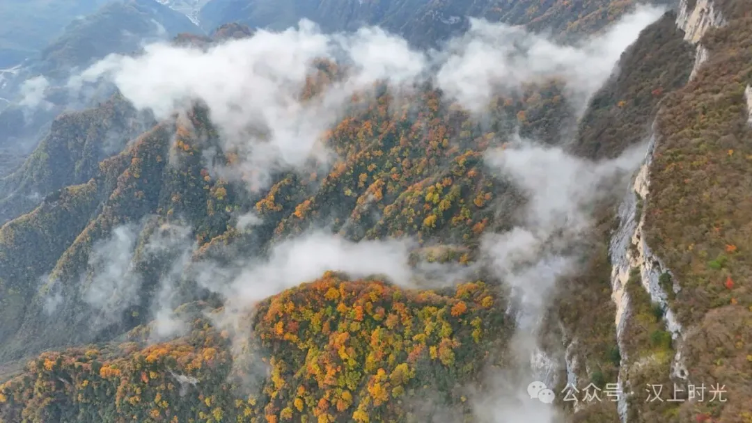 漢中龍頭山：云霧裹著秋景，像是在彩林間畫了層漸變。