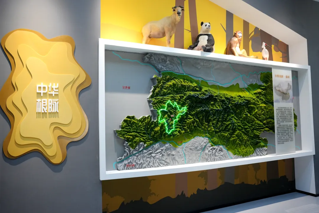 留壩新名片！感官全開，趣游秦嶺