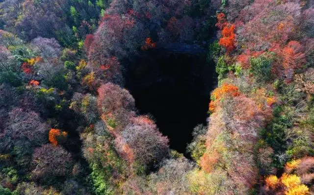央視《地理·中國》探秘漢中天坑！