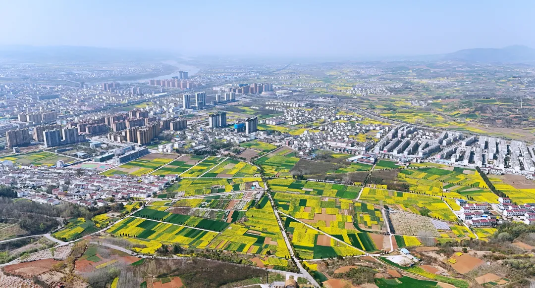 “鹮鄉(xiāng)花海 鏡遇春天” 市、縣新媒體聯(lián)動走進五彩洋州