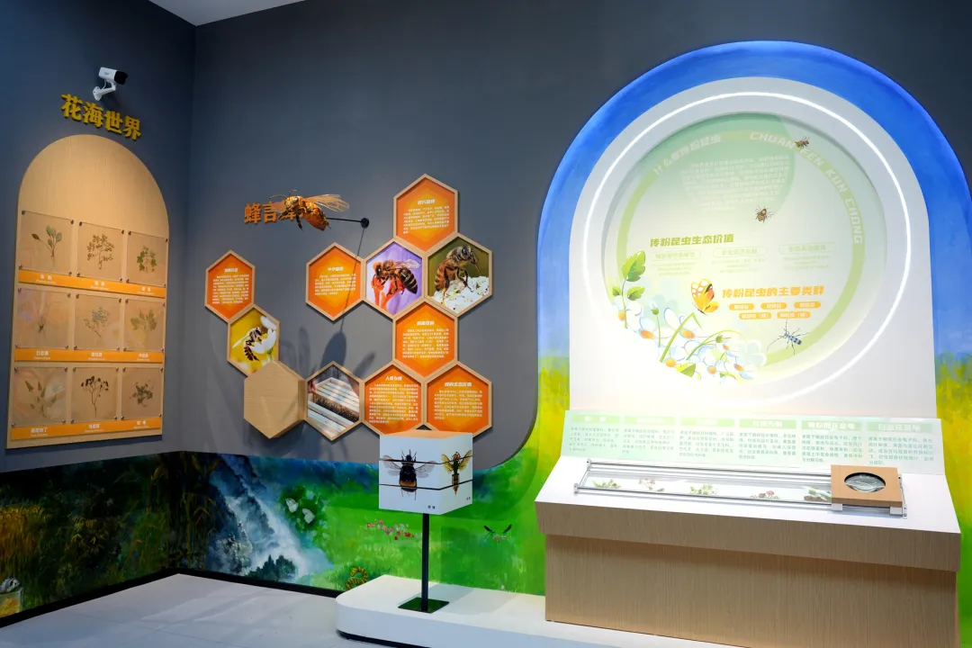 留壩新名片！感官全開，趣游秦嶺