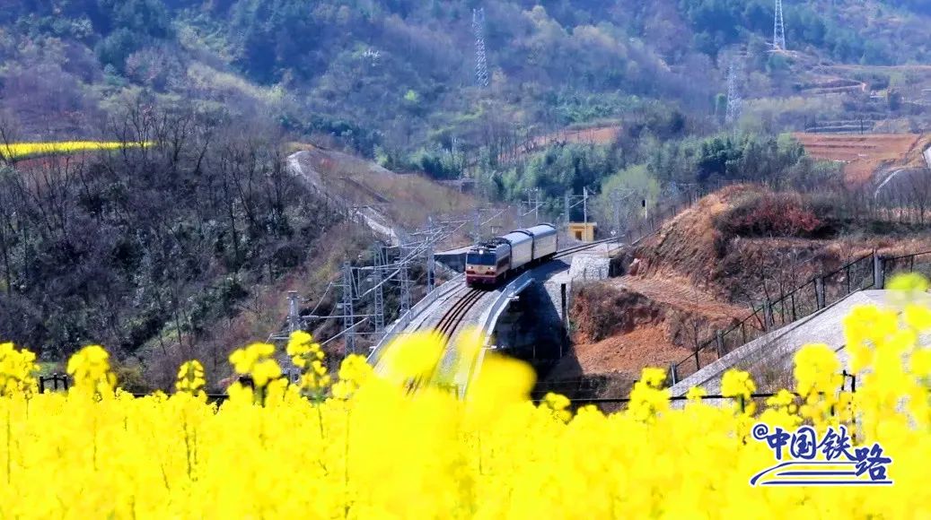 老鄉叫它“雙節棍”！這列經過漢中的火車可能是中國最短的