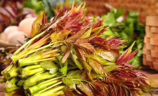 賞春花，吃春菜，把春天“吃進肚子”