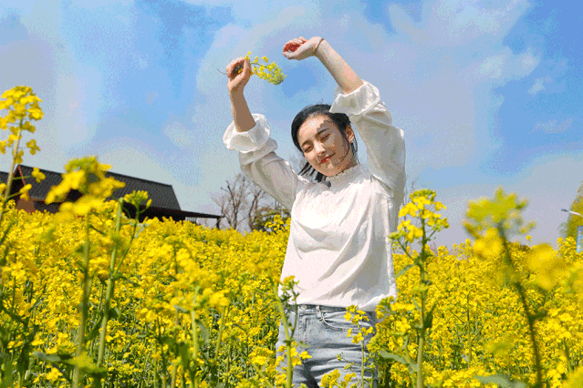漢臺油菜花打破常規，“三色”組合，被驚艷到了！