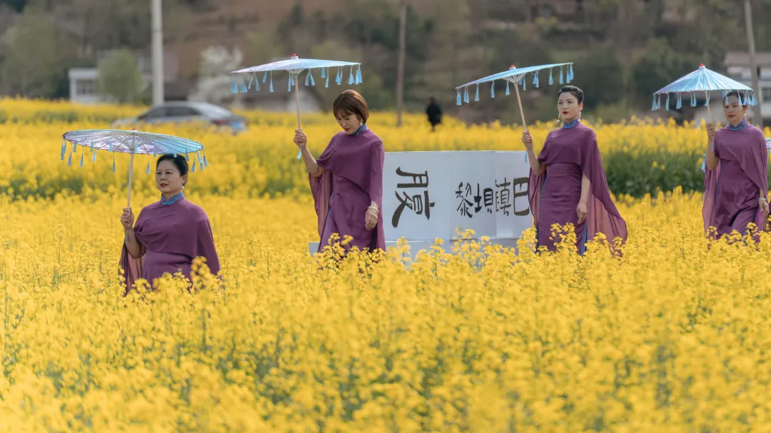 2025漢中鎮巴春日盛宴，解鎖油菜花海文旅新玩法！