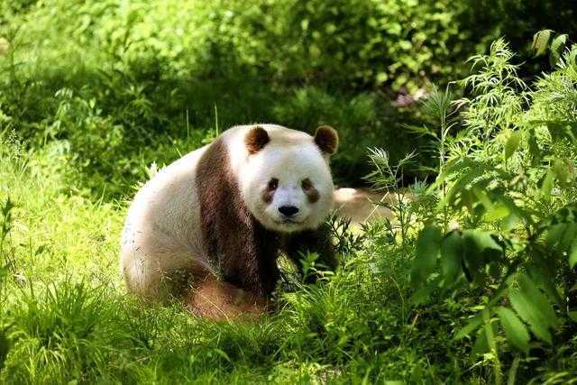 漢中門戶網創始人吳波先生榮獲2017年“漢中網絡好青年”榮譽稱號！