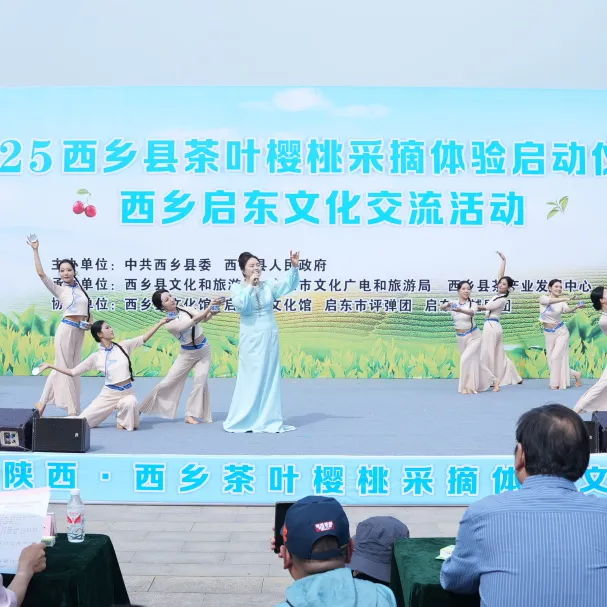 西鄉縣舉行2025茶葉櫻桃采摘體驗活動暨西鄉—啟東文化交流活動