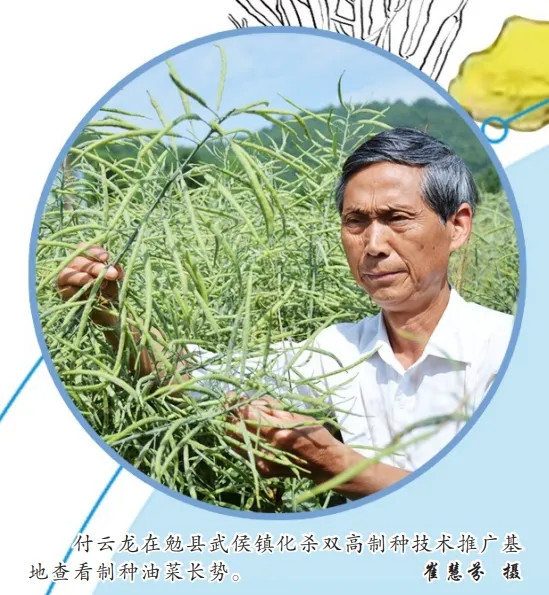 中國油菜的“漢中芯”！探尋背后硬核→