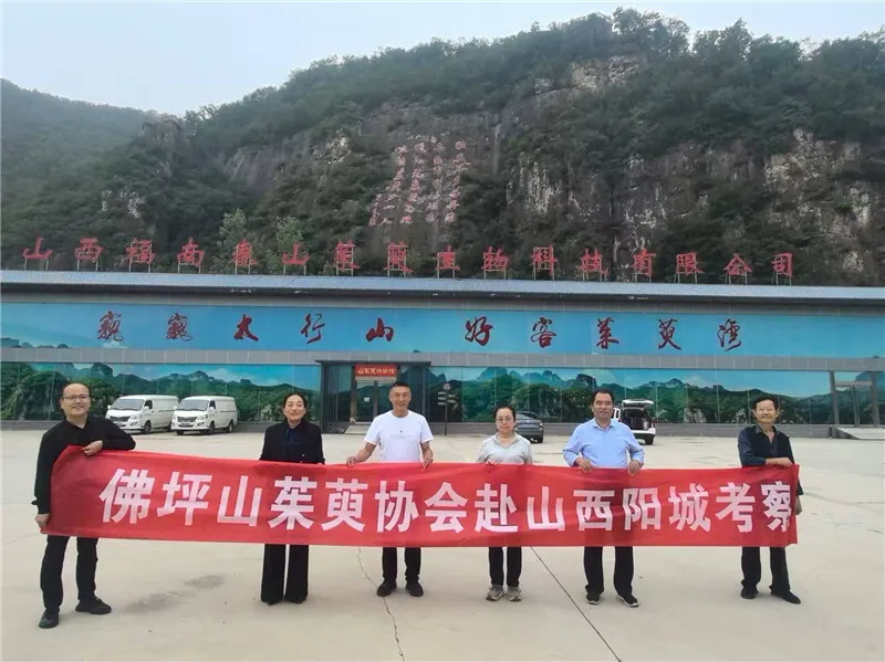 李茂武 | 更把茱萸仔細看——佛坪縣山茱萸協會赴山西陽城交流記