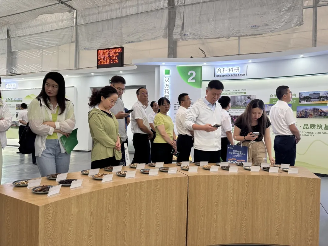 中省媒體聚焦漢中新型工業！傳統行業煥發新生→