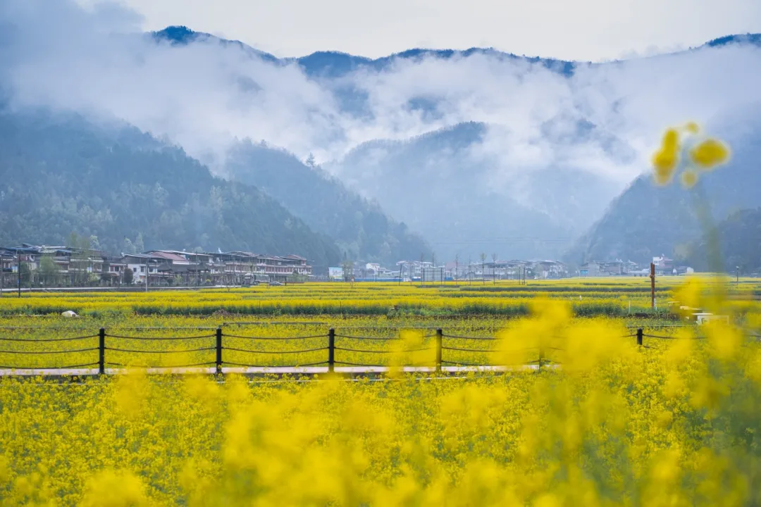 薇那verna (16)_副本.jpg