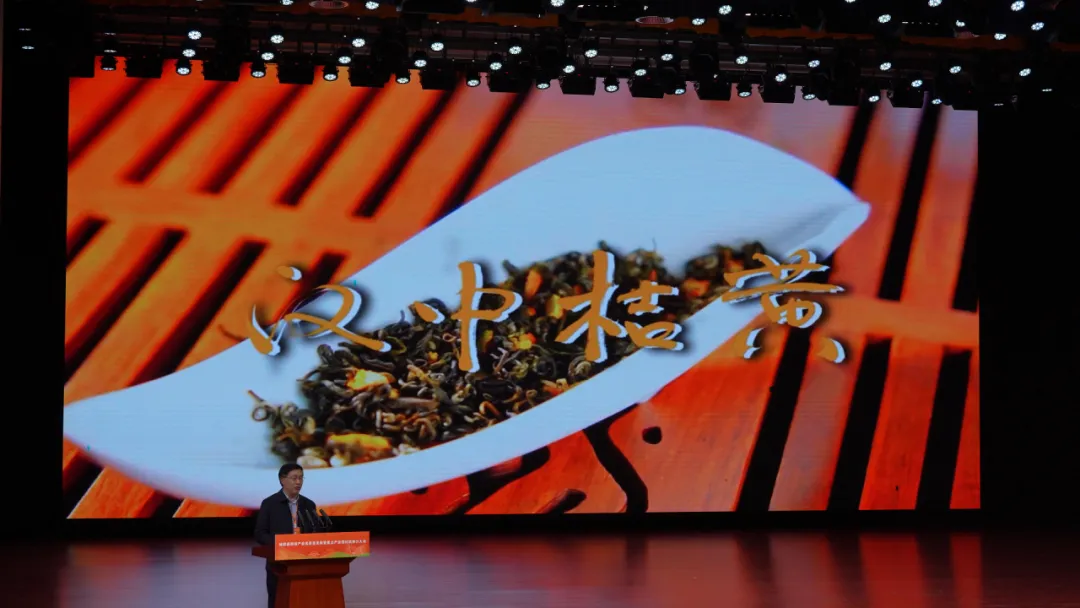 全國首個桔皮融合茶品！預計畝收益翻10倍→