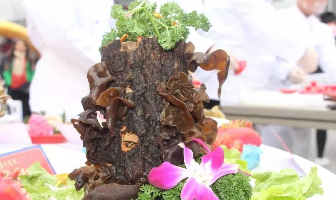 陜西天漢·絲路花海景區(qū)開(kāi)園儀式隆重舉行