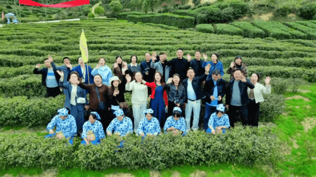 城固開展“相約張騫故里 暢游金色花海”主題采風(fēng)活動