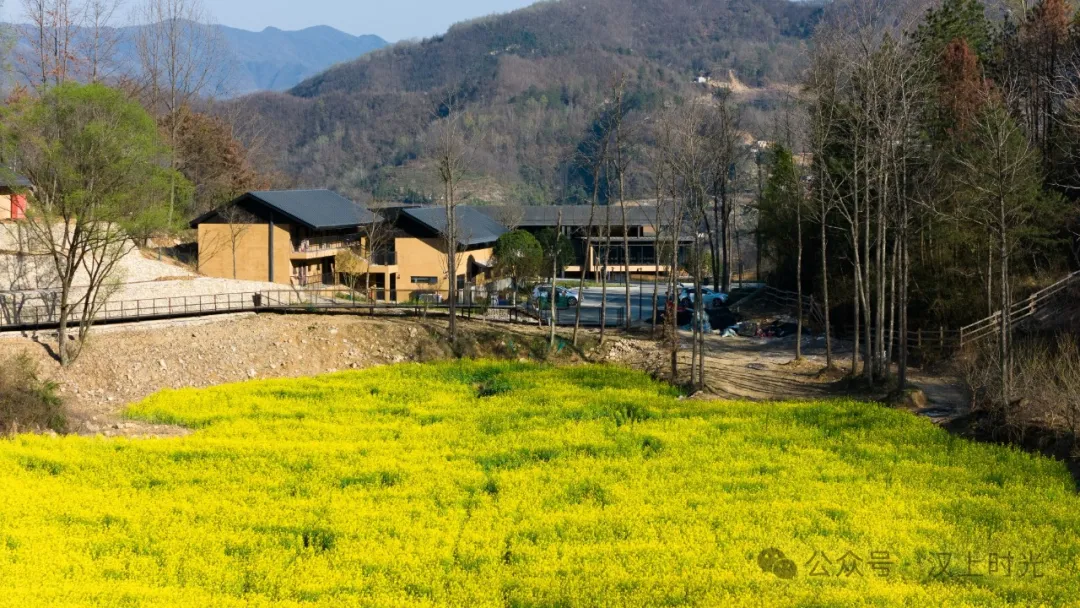 看巴山云海，住獨棟小院。走進鎮巴歡喜山，把自己住在風景里。