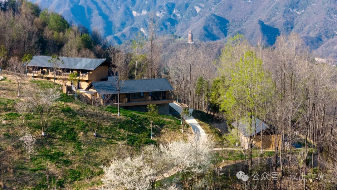 看巴山云海，住獨棟小院。走進鎮巴歡喜山，把自己住在風景里。