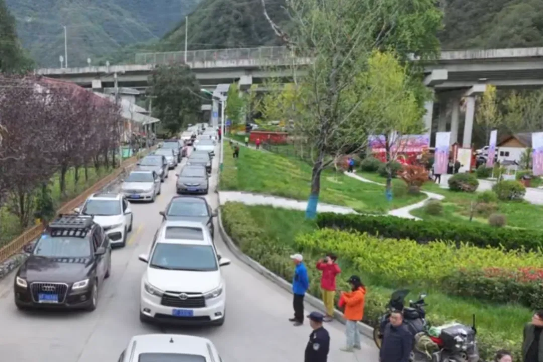 漢中秦嶺最美廊道留壩紅葉季啟幕！