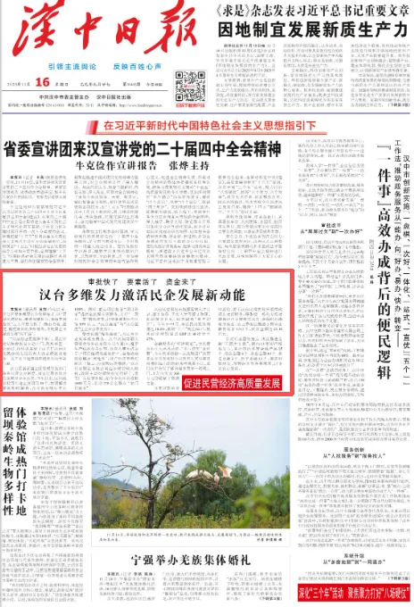 頭版聚焦！漢臺多維發力激活民企發展新動能