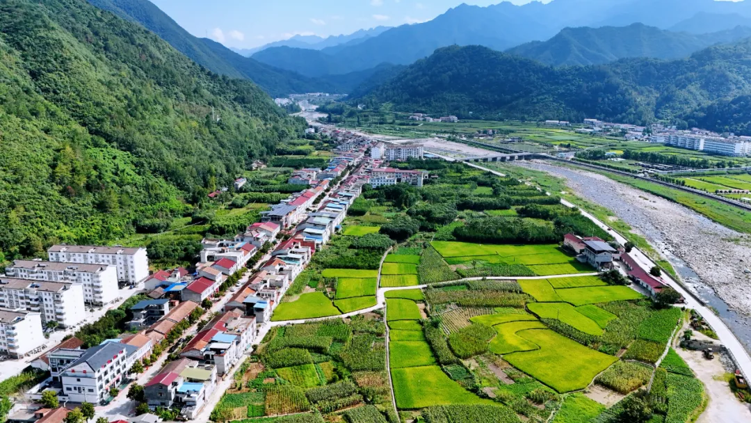 垂釣、逛展、追音樂… 陳家壩稻田音樂季，承包你的周末快樂！