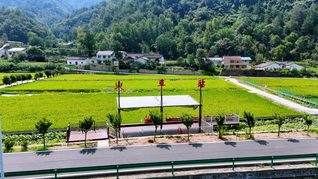 垂釣、逛展、追音樂… 陳家壩稻田音樂季，承包你的周末快樂！